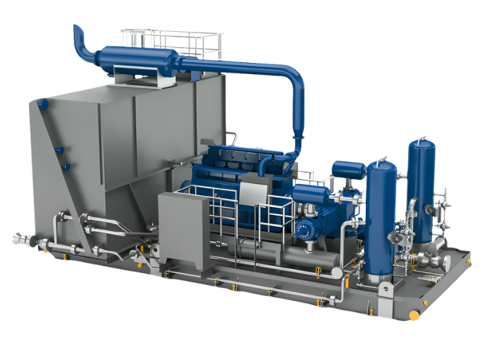 Seals for hydrogen compressors